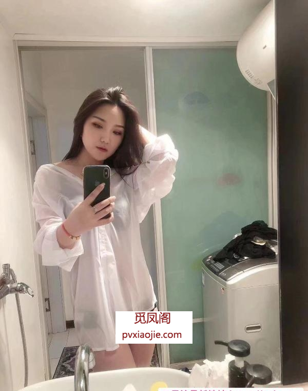 铁西妲己