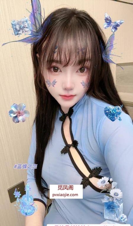 普陀小野猫
