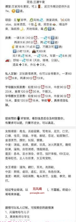 汉阳三通名凤午夜