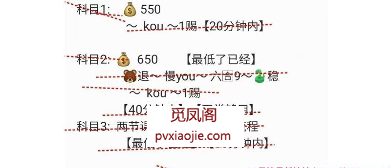 下火尤物恩雅