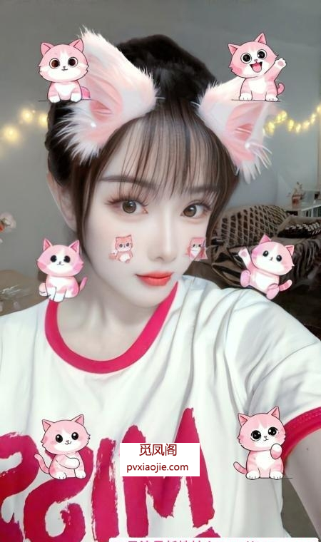 武侯D杯大奶妹