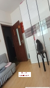 哈尔滨哈西老妹
