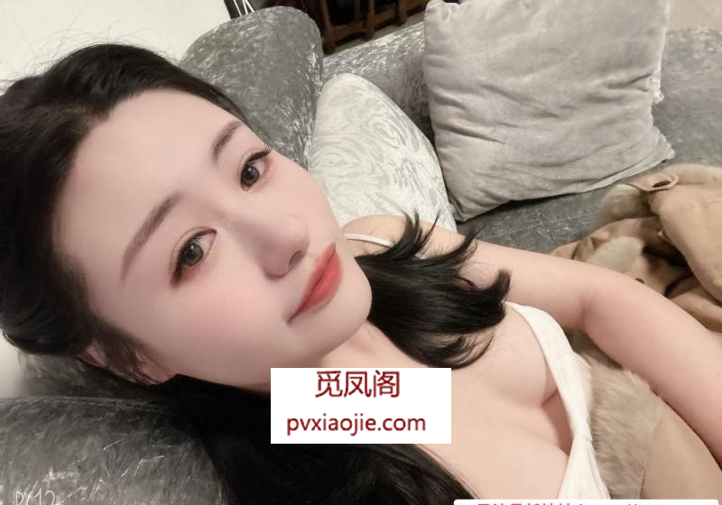 铁西刘怼怼