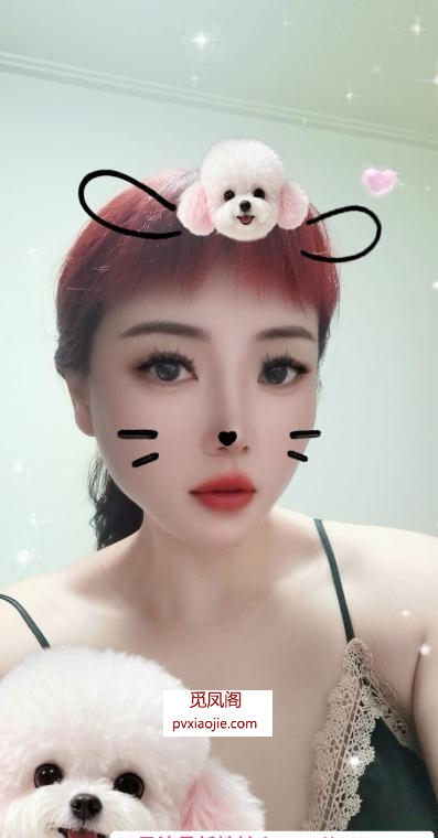 沈阳御姐