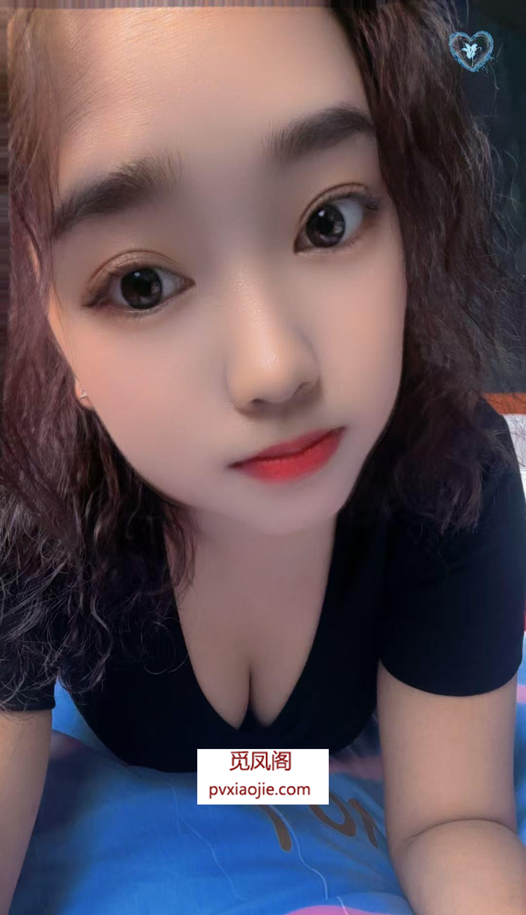 奉贤区姎婷
